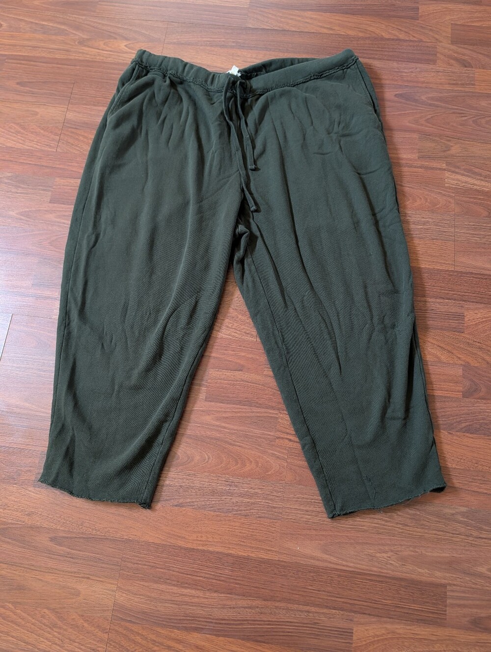 Eileen Fisher Organic Cotton French Terry Raw Hem Sweatpants 3X Green Drawstring